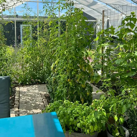 Casa de Férias I Med Orangeri Taet Pa Havnen *